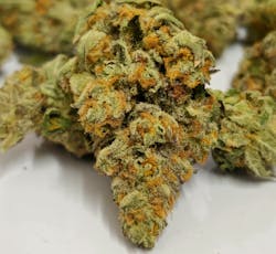 Bob Hope | High Supply | Buds | 14g