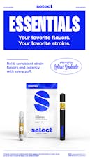 Black Cherry Maduro | Vape Cart | 1g