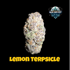 Blue Harvest | Lemon Terpsicle | 1g PR