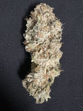 AltSol: Platinum TK