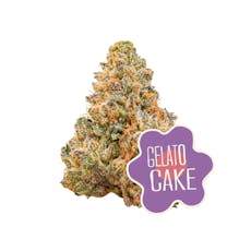 Gelato Cake: Flower (3.5g) - District Cannabis