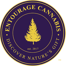 Entourage - Sun Lounger x Galaxy Gusherz 0.75g Infused Pre-Roll (H)