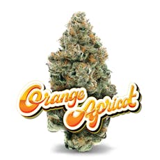Orange Apricot - 1/8 oz Premium Flower
