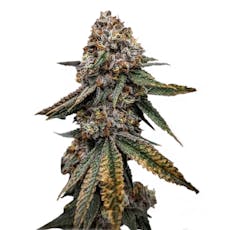 3.5g 91 Octane (TAX INCLUDED)