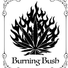 Burning Bush Bubble Hash 1 Gram Temple Ball