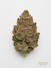 Swamp Magic Pre-Roll