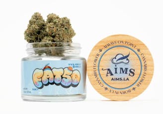 AIMS 3.5g H Fatso
