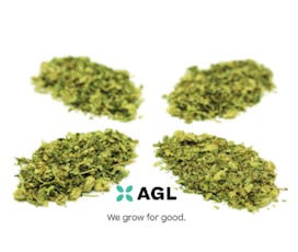 AGL 14g Select Grind Bubba F (I) 01053