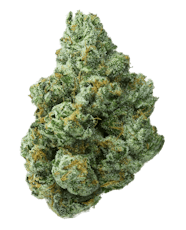 Gold Shelf - Chem Brulee (H)