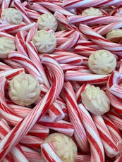 Sativa Peppermint Bark | Chocolate Bites (7 Pack)