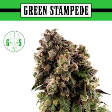 Ice Cream Cake | Bulk Flower