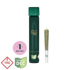 Dogwalkers - Big Dogs - Preroll - Brownie Scout (I) - 1g