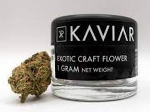 KAVIAR PEANUT BUTTER CHERRY PIE FLOWER 1G