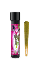 1.0G Infused PreRoll Cali-Blaze DragonFruit