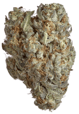 Goldkine Ghost Rider Buds