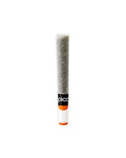 Sushi Hash GOLD RUSH x ZOOKIES | Single