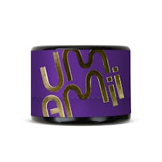 Gary Payton x Lemley | Cured Resin