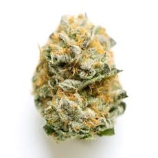 Insa | Grease Monkey | 14g