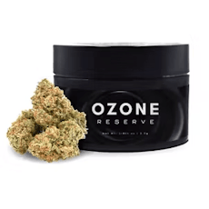 Garlic Cookies | Flower | 3.5g