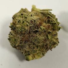 Grease Monkey x Tina | High Supply | Buds | 7g