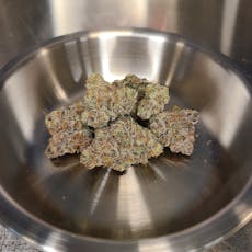 Coastal Healing | Snowmans Revenge | Deli Style