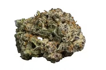 Popcorn Shelf - Cereal Milk (H)