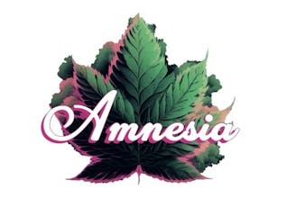 Gelato 33 x Purple Urkle Liquid Diamond Disposable