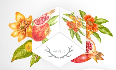 Balanced - Restore Ratioed Pomegranate Gummies 200mg (10-Pack | 20mg Each)