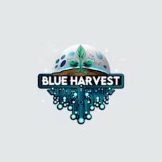 Blue Harvest | Midnight Sun (H) Pre Rolls | 5 Pack (2.5g)