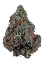 Hamilton Farms | Panama Red | 3.5g