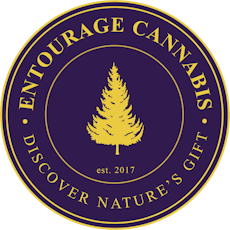 Modified Obama x Modified Grapes Rosin Infused Preroll