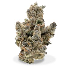 Frost Factory - Sherb Cocktail