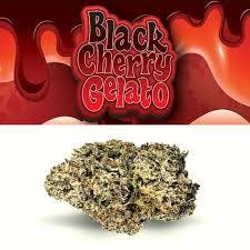 Cookies Black Cherry Gelato 3.5g