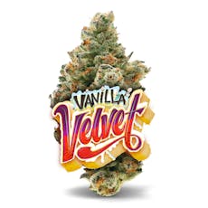 Vanilla Velvet - 1/8 oz Premium Flower