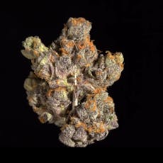 Animal Gelato - 3.5g Exclusive Shelf Flower