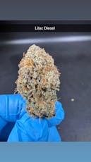 Lilac Diesel - Flower - Hybrid