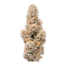 Bostica Purple Milk | 3.5g