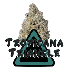 3.5G Tropicana Triangle