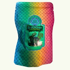Blueberry Mojito EcoStar Disposable Vape 1g