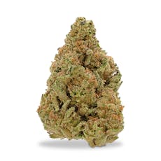 Alter Farms - Afghan Garlic