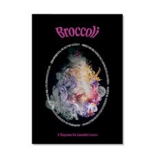 Broccoli Magazine - Issue 13