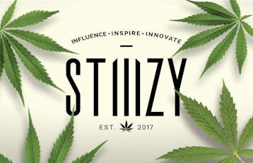 Stiiizy Disposable White Raspberry Indica - 2g