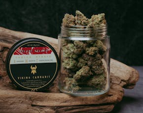 Viking Cannabis FL Velvet Gelato 7g