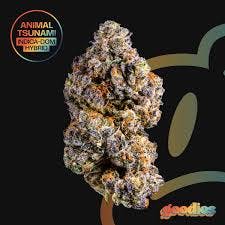 Fruit Fizz | 7g Flower | Goodies
