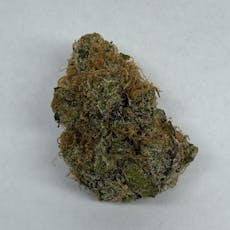 PapayaCrush-Flower|Indica-Dominant|JC|3.5g