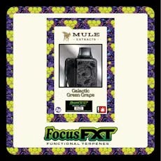 Dank Tank | Galactic Green Grape Focus (H) FXT Disposable Distillate Vape | 2g