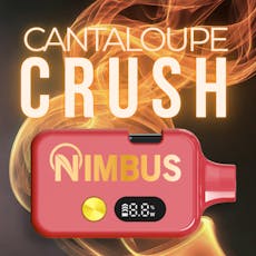 1000mg AIO Vape | Cantaloupe Crush