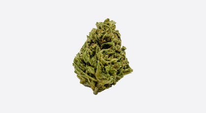 Blueberry Balance CBD