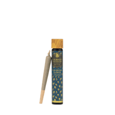 Acapulco Gold | Single