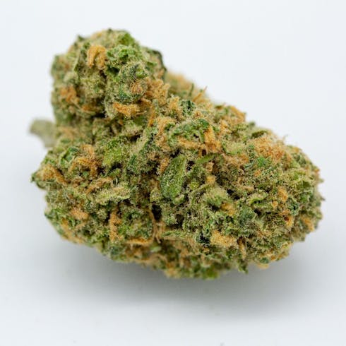 Sour Tsunami